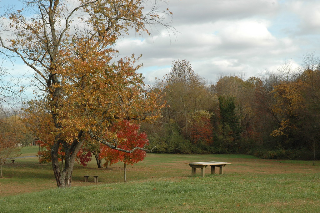 Silence of Heritage Park, Allentown, NJ 020 HeronThere Flickr