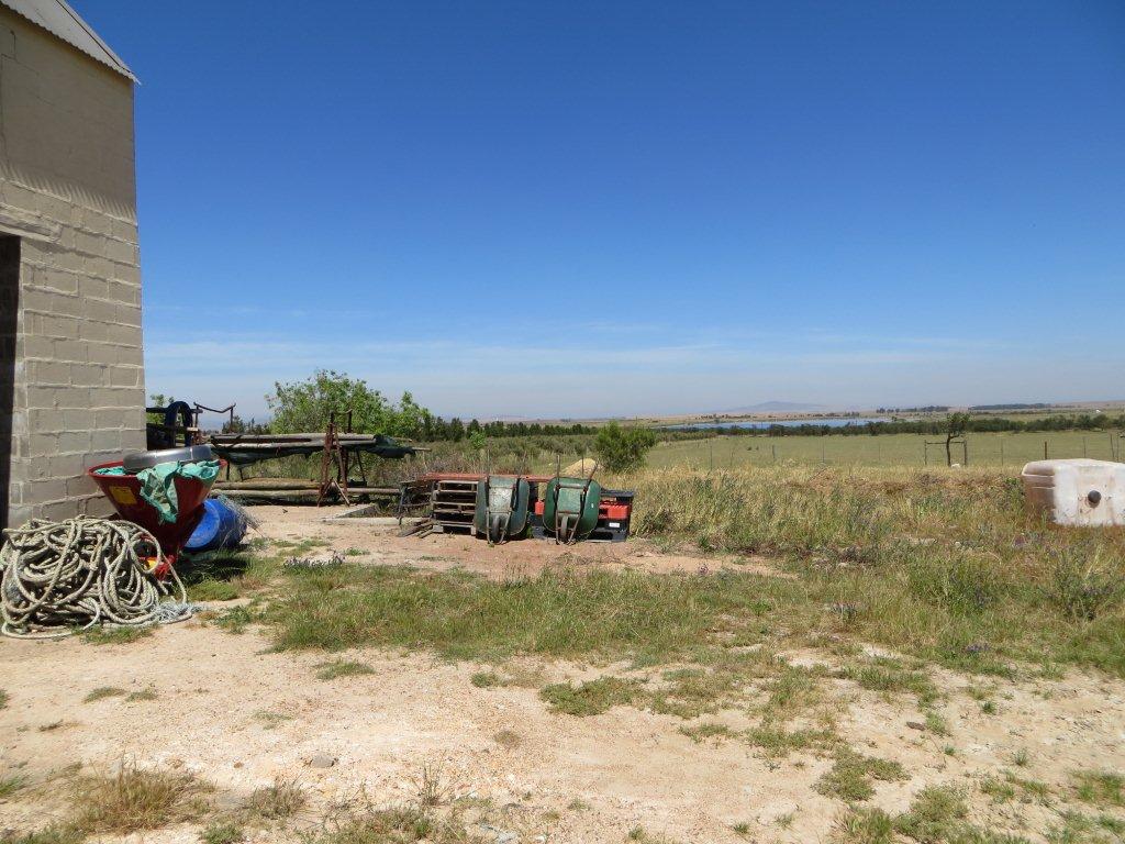 Lime Citrus farm for sale Malmesbury South Africa Lime far… Flickr