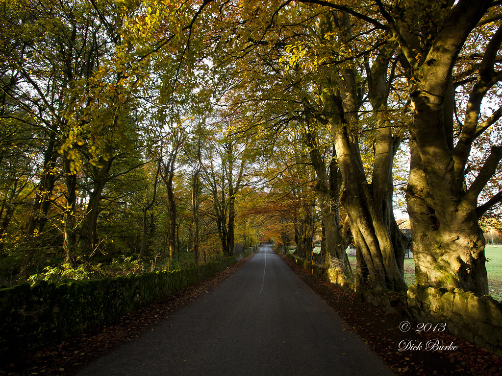 Kilbride, Co Wicklow Dick Burke Flickr