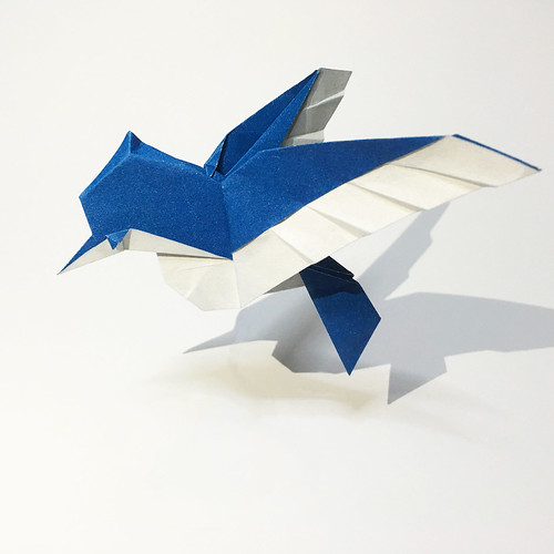 Blue Jay Blue Jay Designed and folded by Ryan Dong One pi… Flickr
