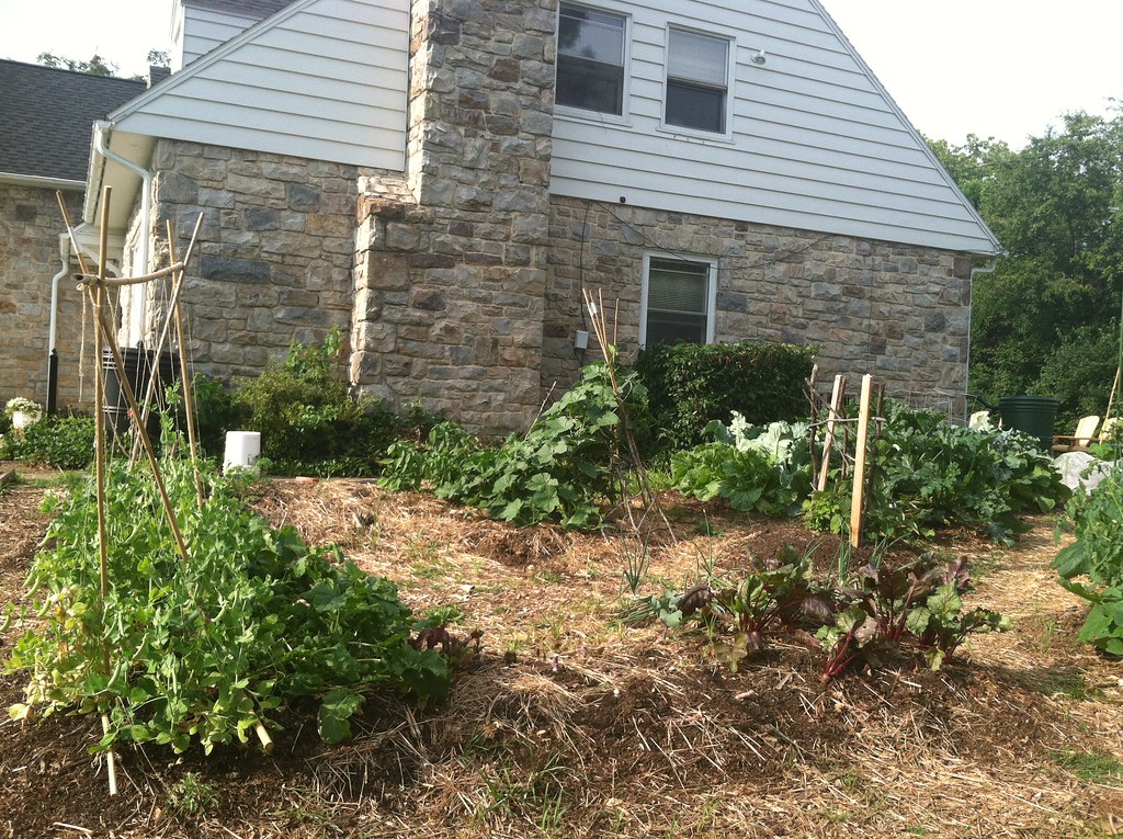 Albright College Garden Pictures of the permaculture style… Flickr