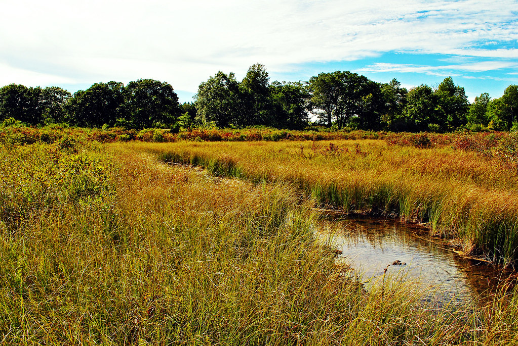 Muir Park State Natural Area Marquette Co., WI Aaron Carlson Flickr