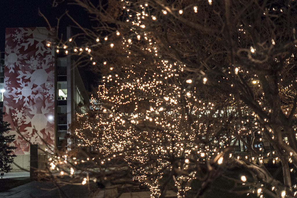 Christmas in Des Moines Trees lit on the grounds of the Me… Flickr