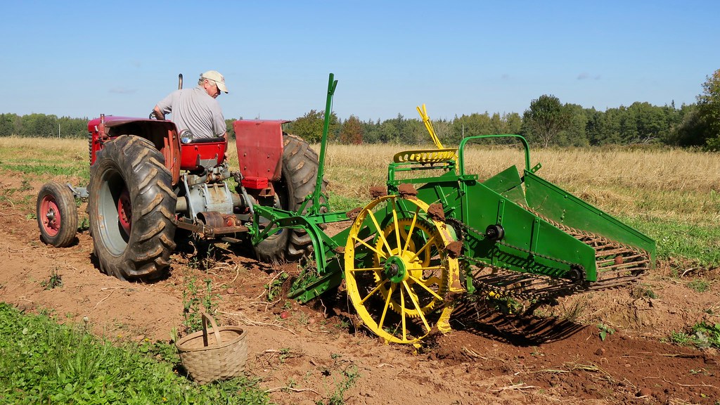 Pastimes PEI Rug Hooking and Wool Shop Natulive
