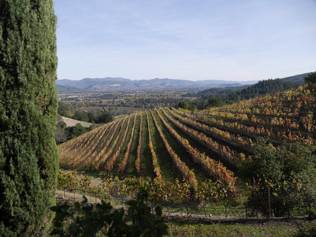 20141118 Napa Valley, Newton Flickr
