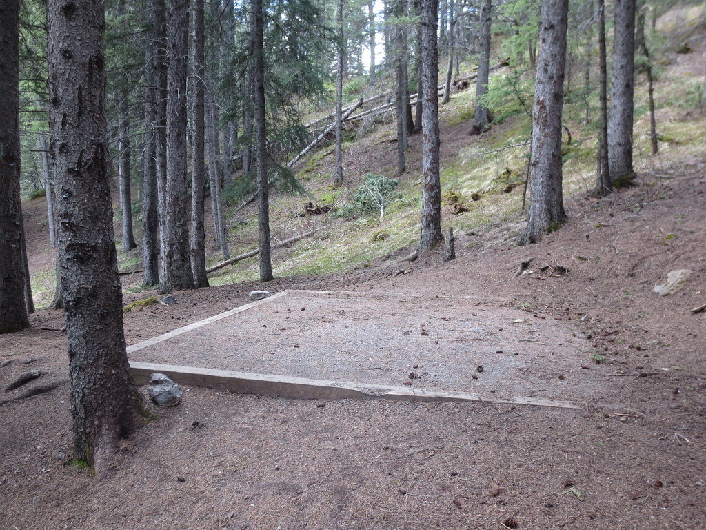 Bow Valley PP Quaite Backcountry Campground Campsite Flickr