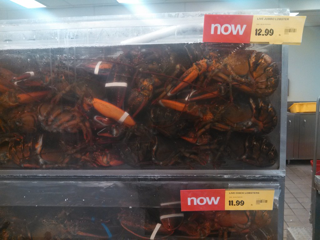Jumbo Lobsters Usually, at the Real Canadian Superstore, t… Flickr
