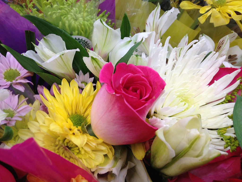 Flowers by Patty Vicknair Various Photos of Flowers taken … Flickr