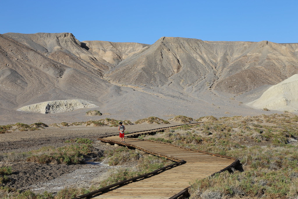 472 (2) Surge Huapaya Flickr