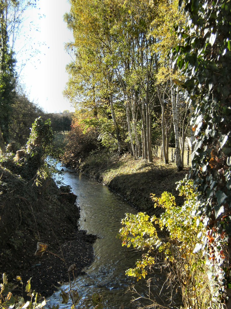 Bottle Brook, Little Eaton. Jennifer McLinden Flickr