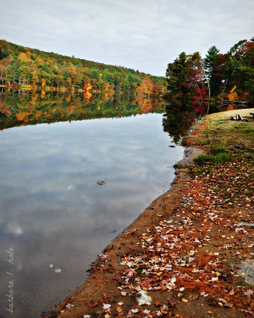 Peak Season on Walker Pond (113/365) Barb Hale Flickr