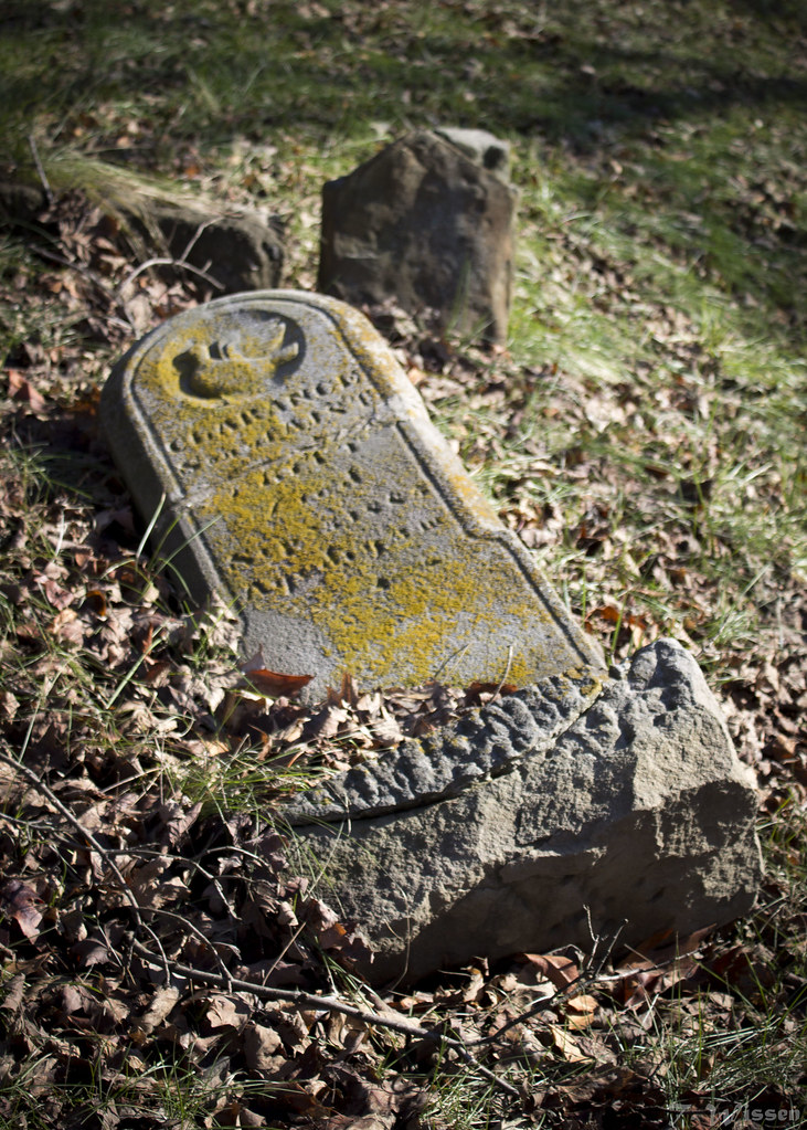 Mossy Headstone Virginia's Chapel Cedar Grove, WV Teresa