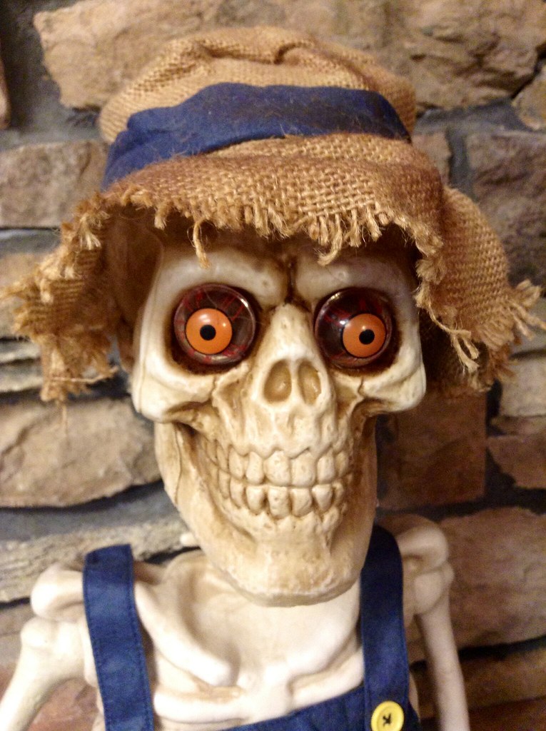 Skeleton Skeleton Playing Banjo Animated Halloween Decorat… Flickr