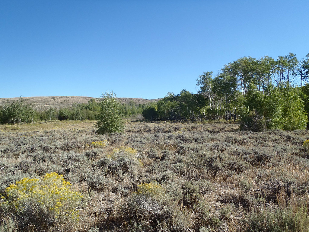 Pennock Mountain Wildlife Area3.jpg OLYMPUS DIGITAL CAMER… Flickr