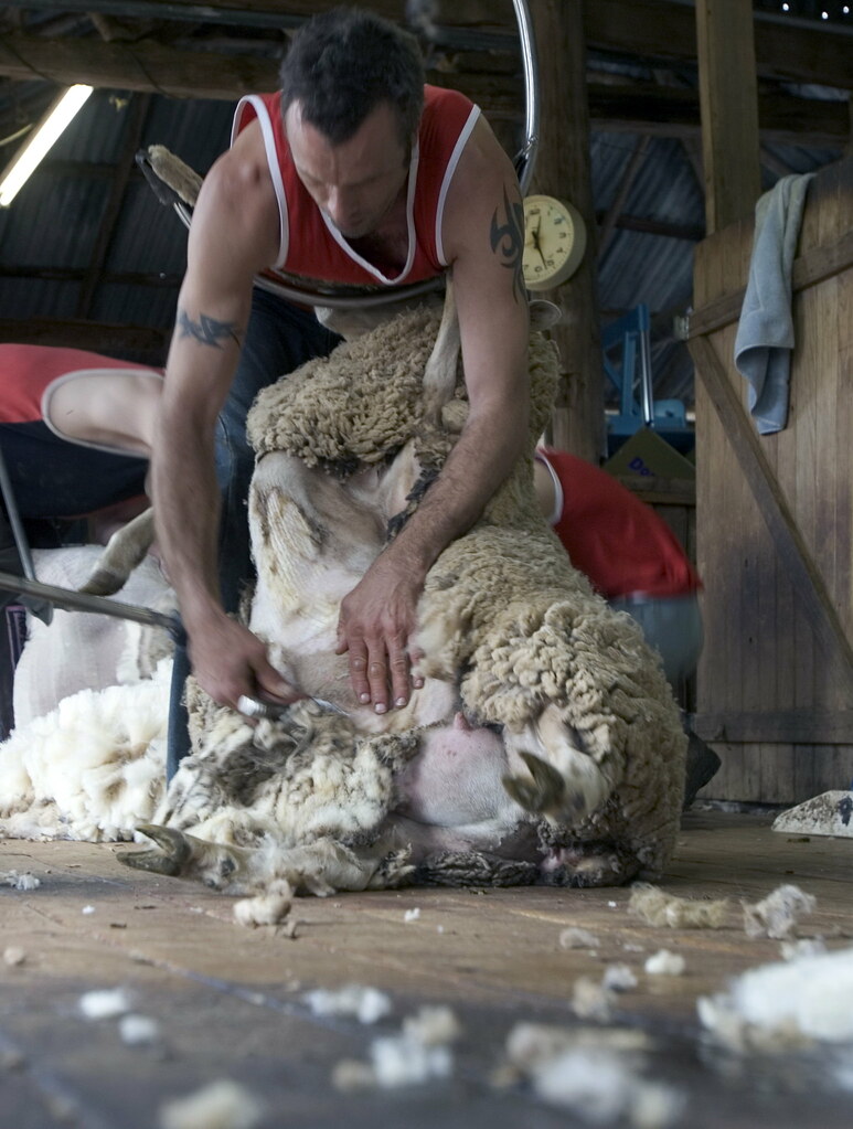 Temora Agriculture temorashire Flickr