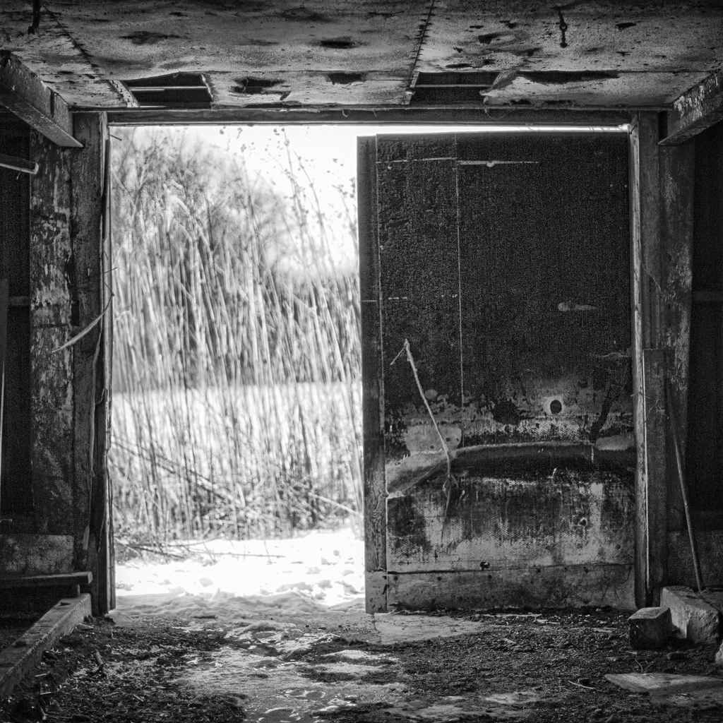 Your barn door is open Steve McKenzie Flickr