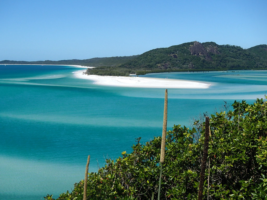 P6220350 White Haven Beach Michelle Flickr