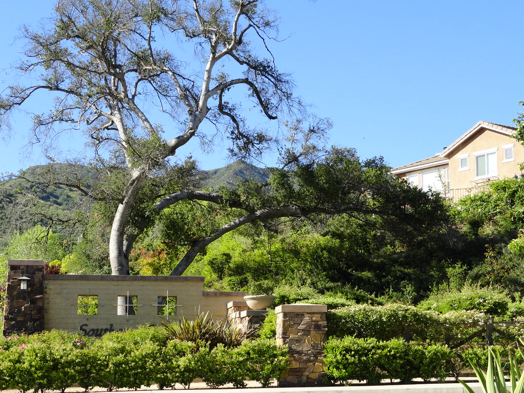 Stevenson Ranch Southern Oaks (8) kenleegroup Flickr