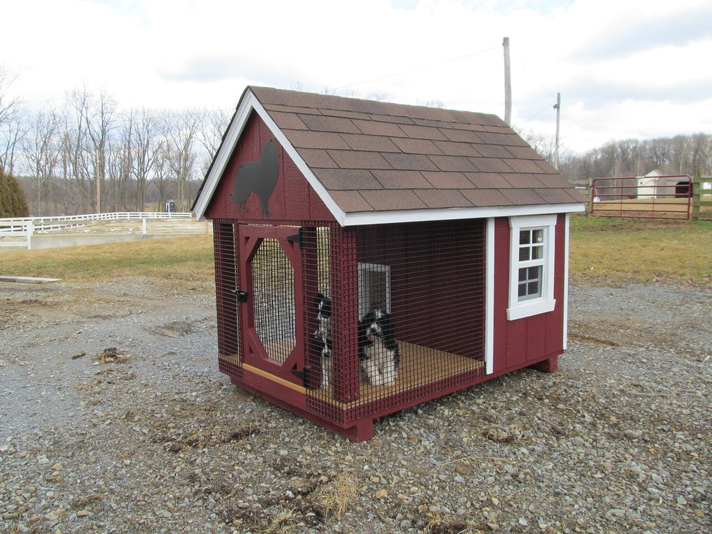 Absolutely Amish Dog Kennels Our dog kennels are very func… Flickr