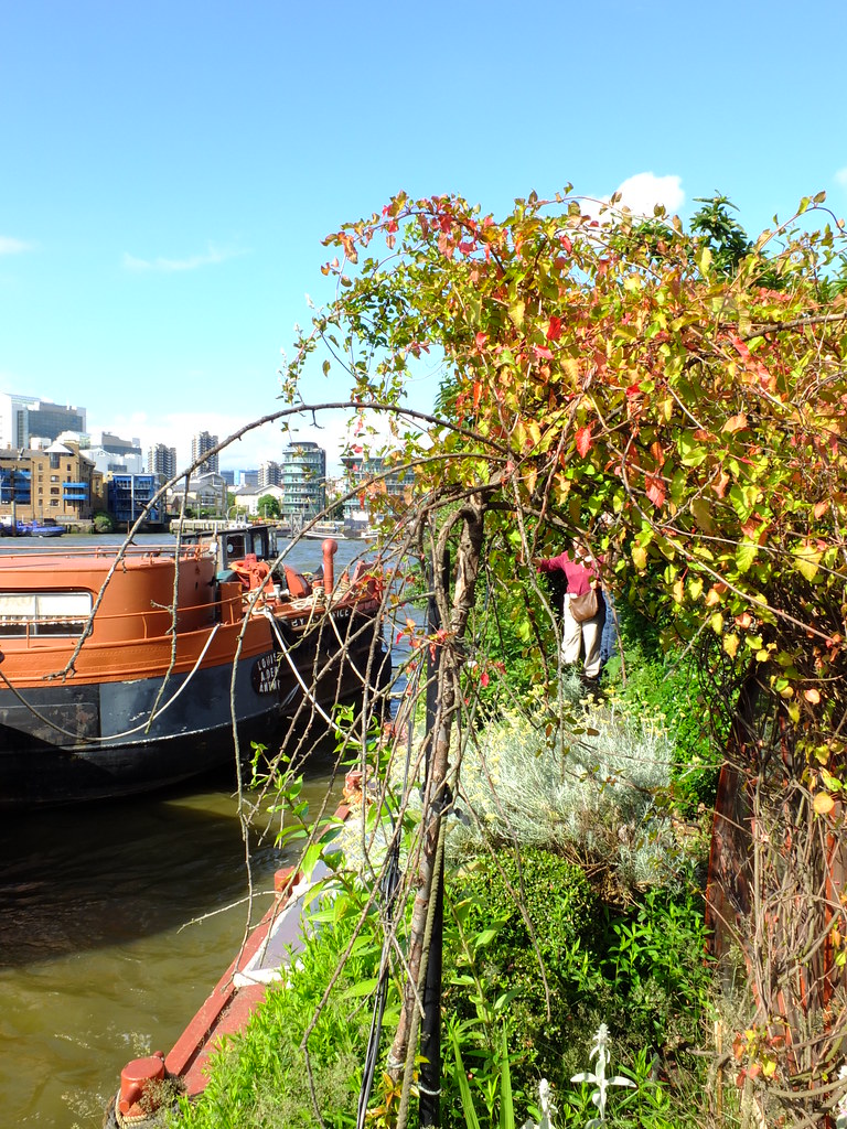 Downings Roads Moorings Garden Barge Square is situated at… Flickr