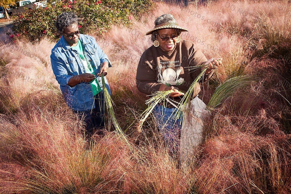 Sweetgrass basket makers Harvest Sweetgrass basket makers … Flickr