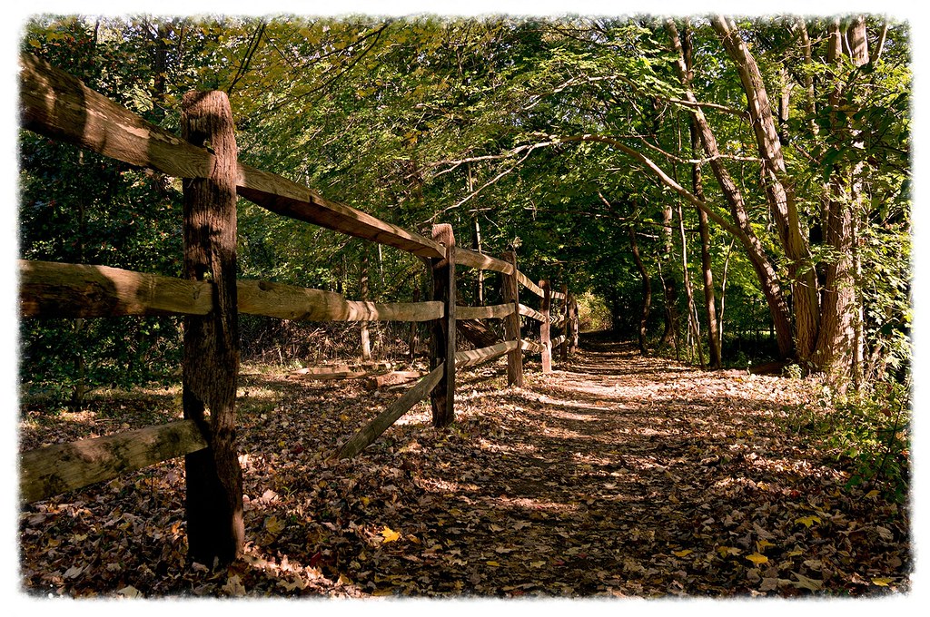 Into the Woods Celery Farm, Allendale, NJ Riveredger Flickr