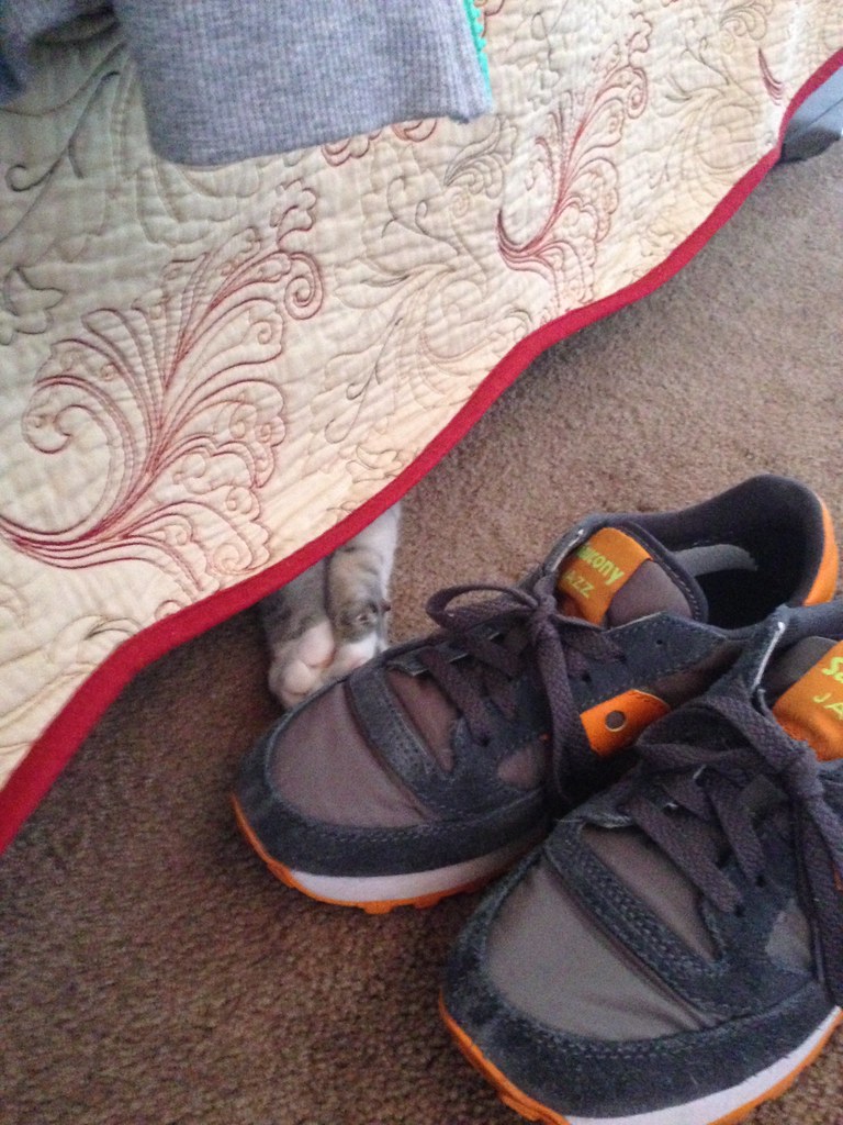 someone's trying to steal my shoes. ok karin Flickr