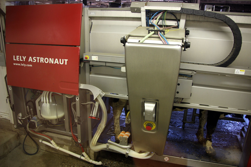 Robot milker Most times, the cow will finish her feed shor… Flickr
