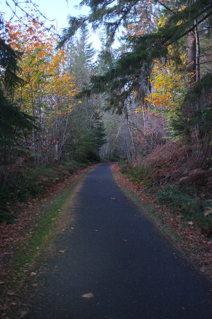 BanksVernonia State Trail Approximately at milepost 6. Flickr