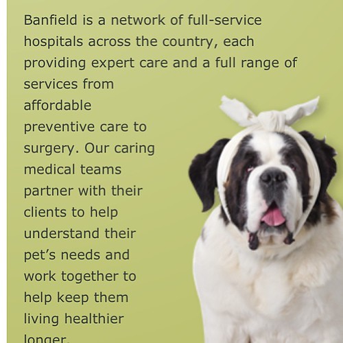 FREE pet exam at Banfield Pet Hospital for new patients.Cl… Flickr