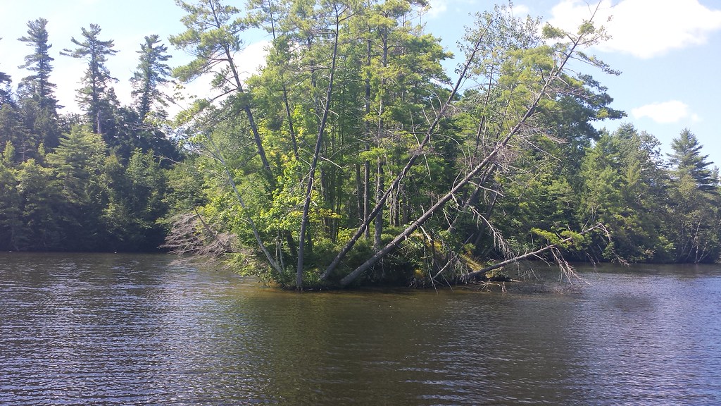 Saco river, Buxton Maine 2013 Beautiful day. 60 ft. deep! … Flickr
