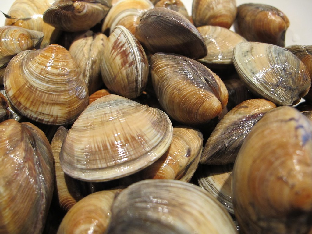 Clams are low in fat Clams are extremely low in fat and ha… Flickr