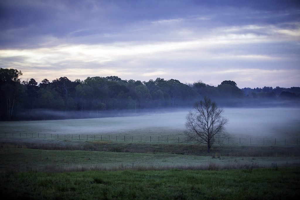 Sabine Parish Tourism Farms and pasturses are part of the … Flickr