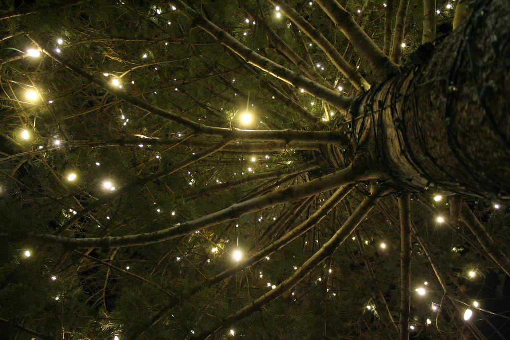 Christmas Lights Downtown Colorado Springs Lars Hammar Flickr