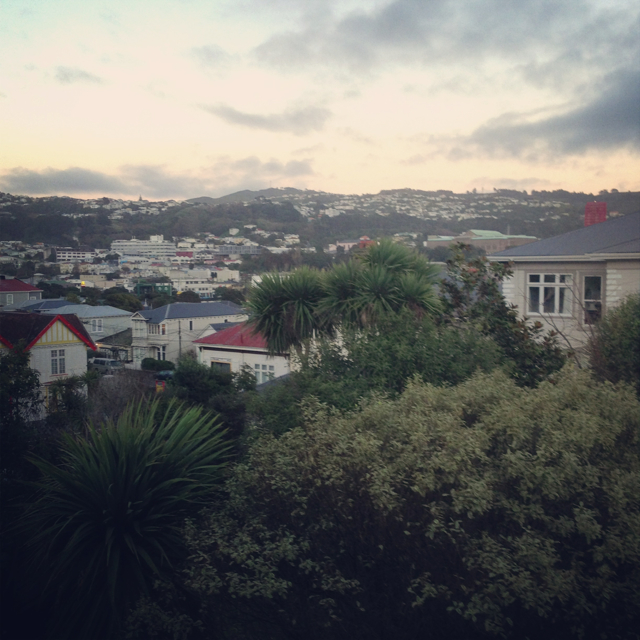 1376380951.312422 Olive Hope Flickr