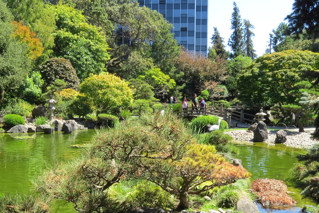 Lake with Bridge Japanese Garden San Mateo Central Park, 2… Flickr