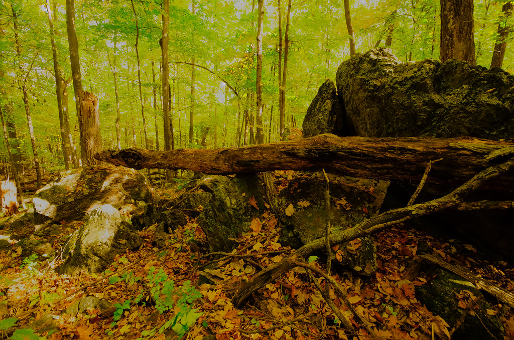 Forest Powers Bluff Maple Woods Wisconsin State Natural Ar… Flickr