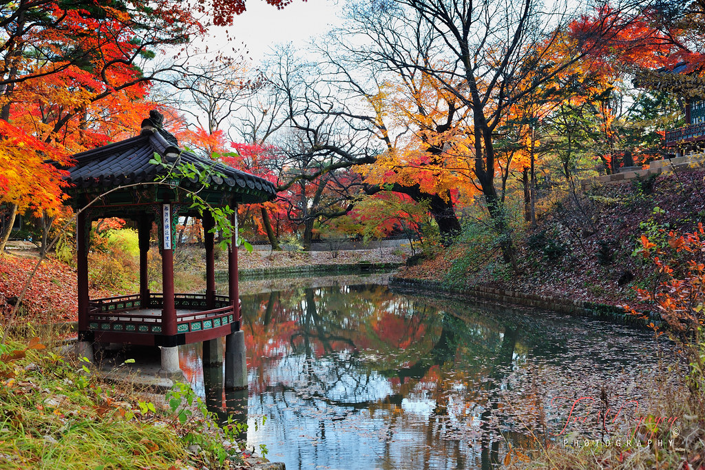 Changdeok Gung, Secret Garden (창덕궁 후원) Taken on Fall 2012 Tri