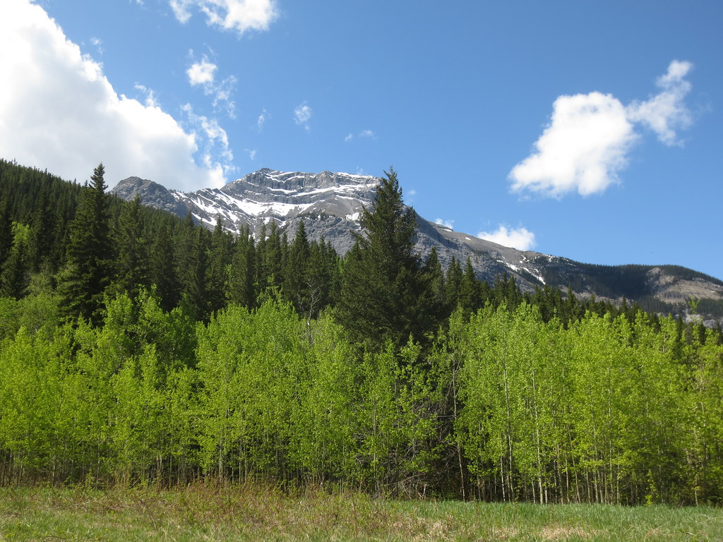 Quaite Valley Backcountry Campground Bow Valley PP Flickr
