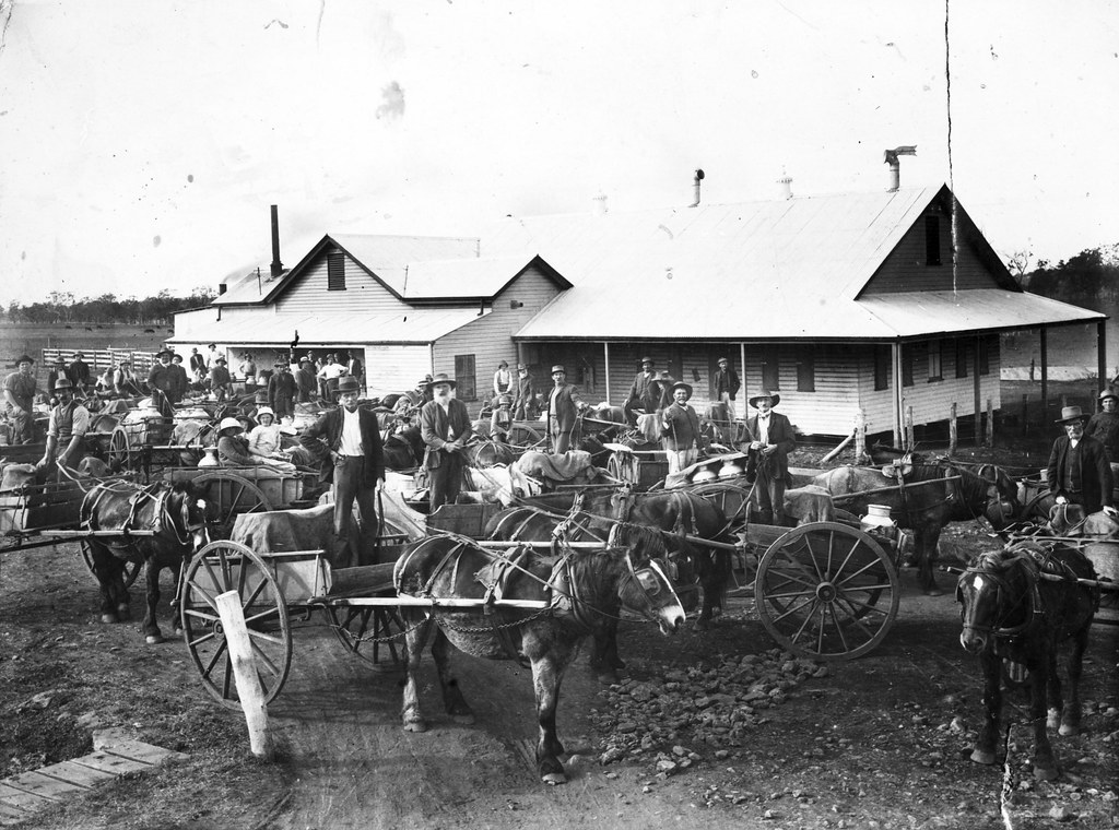 Southbrook Cooperative Dairy A stunning shot of the gather… Flickr
