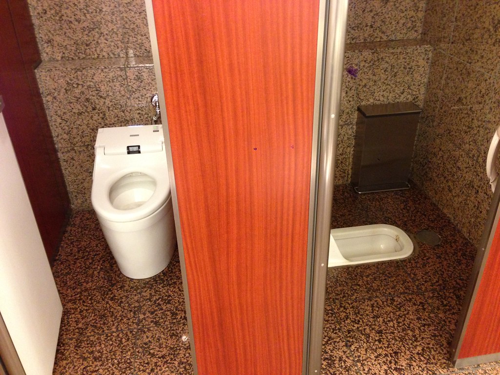 hmmmm... western style seat warmed toilet or poop stained … Flickr