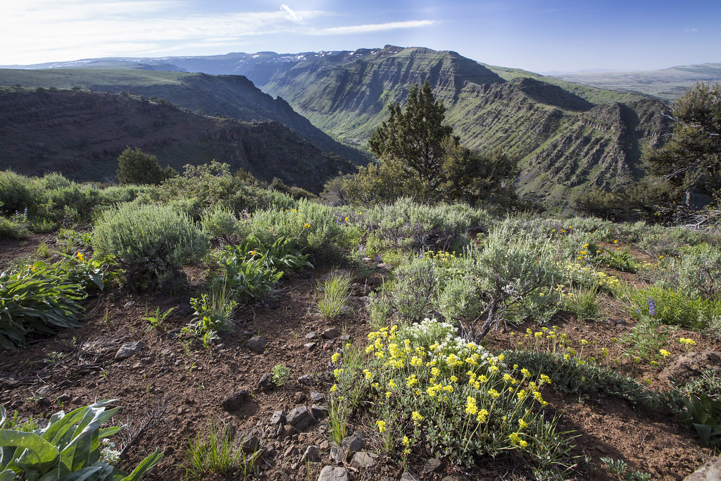 Steens Mountain in eastern Oregon The Steens Mountain area… Flickr