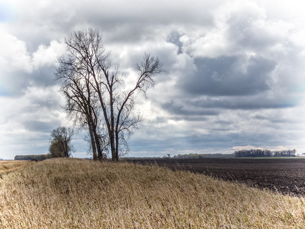 Elevation of Crookston, MN, USA Topographic Map Altitude Map