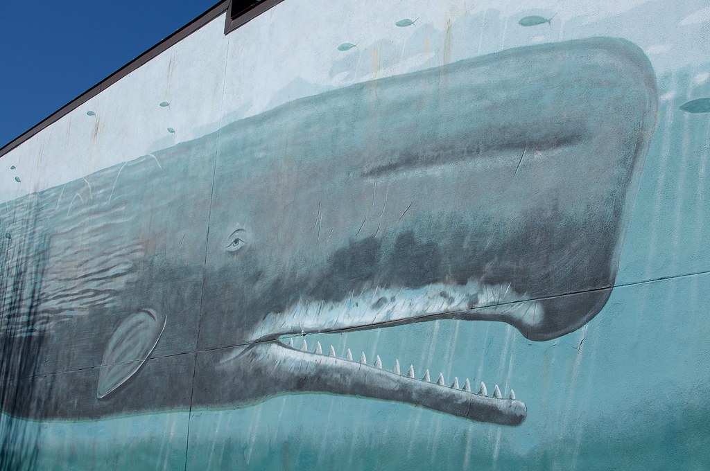 Whale Mural II Edward Fritzen Flickr