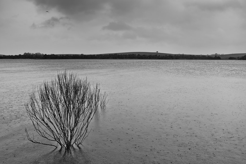 pitter patter stillshunter Flickr