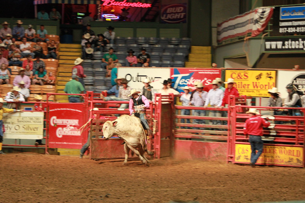 Dallas 20100807 030 RR Kemp Flickr