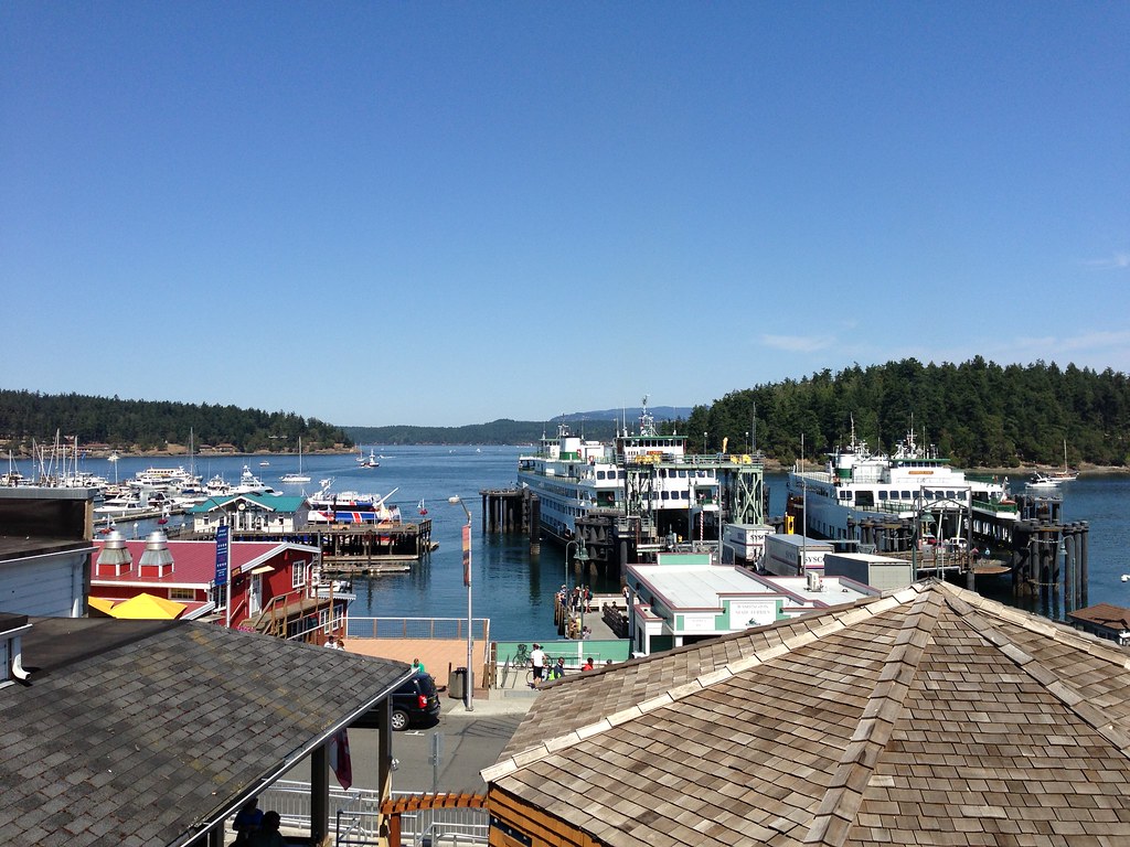 Friday Harbor Fisheries Consulting Flickr