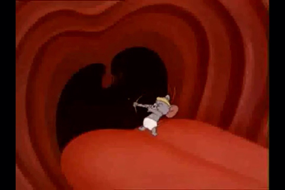 Mouse in Doggy Maw a photo on Flickriver