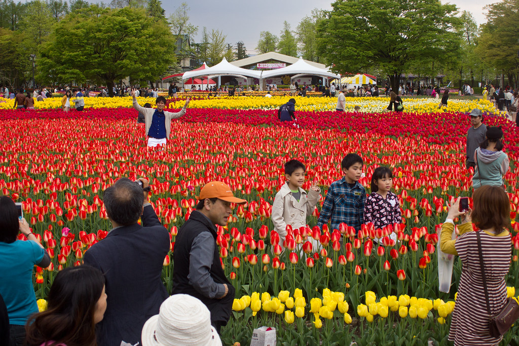 Tonami Tulip Festival Tonami, Toyama, Japan Flickr