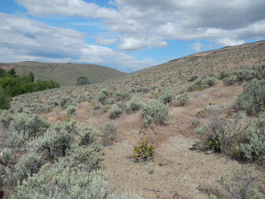 Public Lands near Spokane, Washington Public Lands near Sp… Flickr